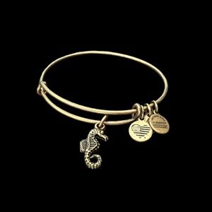 Alex and Ani Seahorse Bracelet